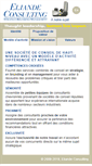 Mobile Screenshot of eliandeconsulting.com